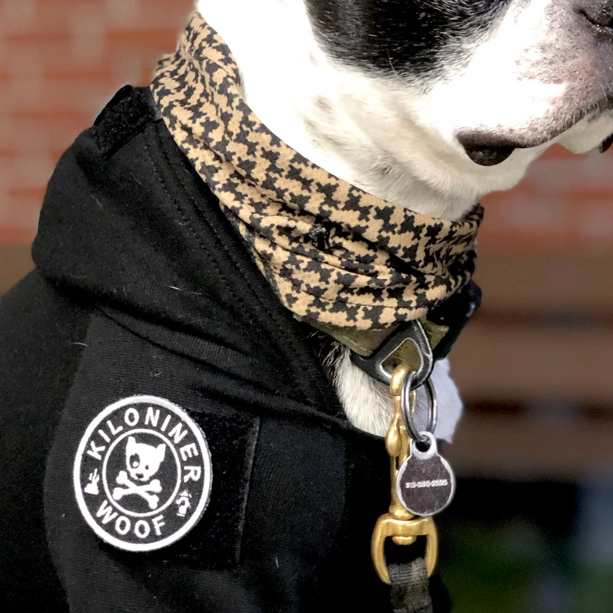 MINI DOG & CROSSBONES Morale Patch - Image 3