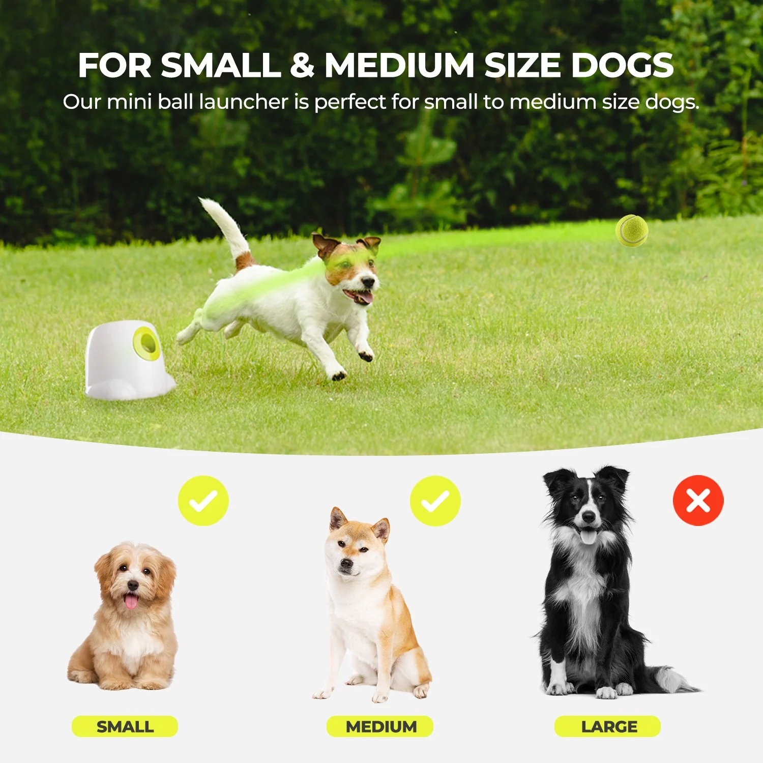 Mini Hyper Fetch Automatic Ball Launcher For Small Dogs - Image 7