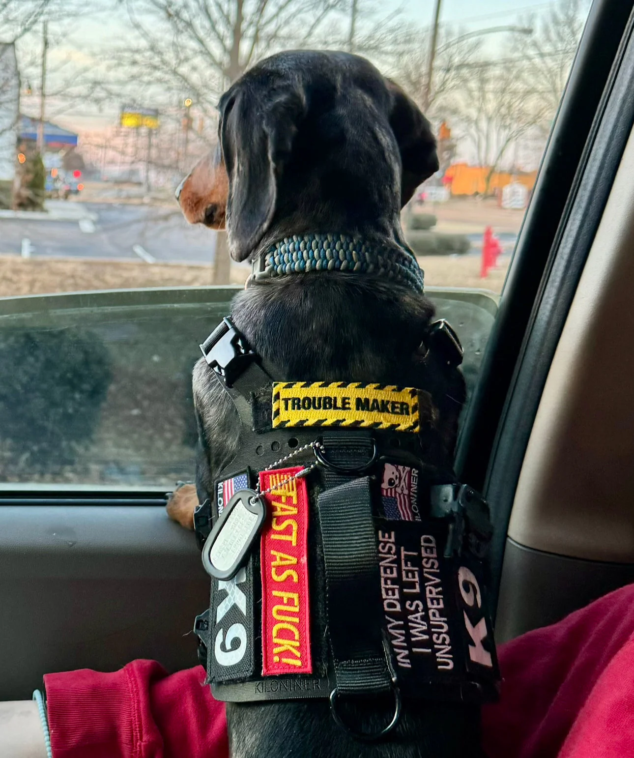 Mini K9 Laser Cut Reflective Morale Patch in Black - Image 3