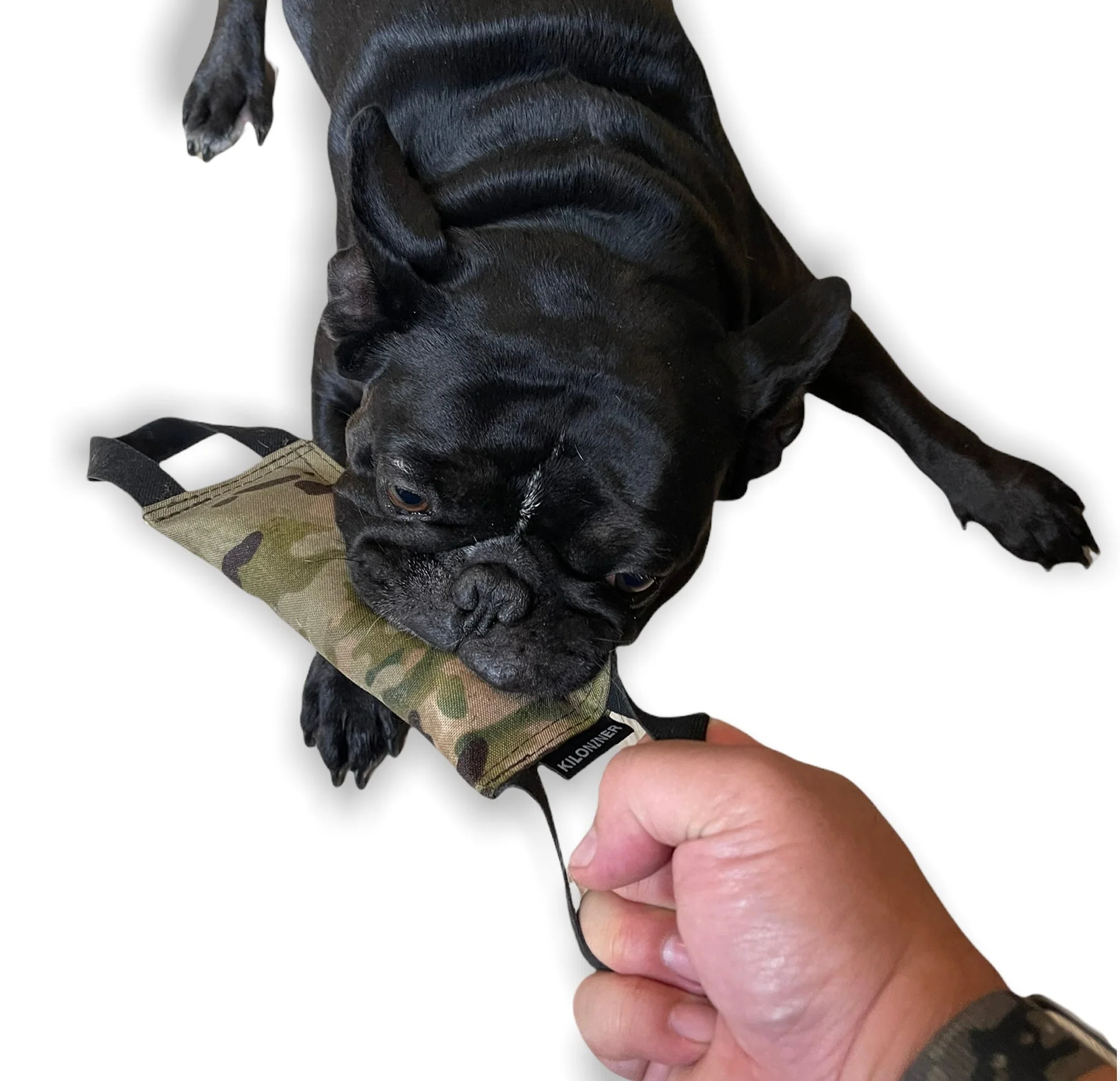 Mini Training Tug Toy - Image 2