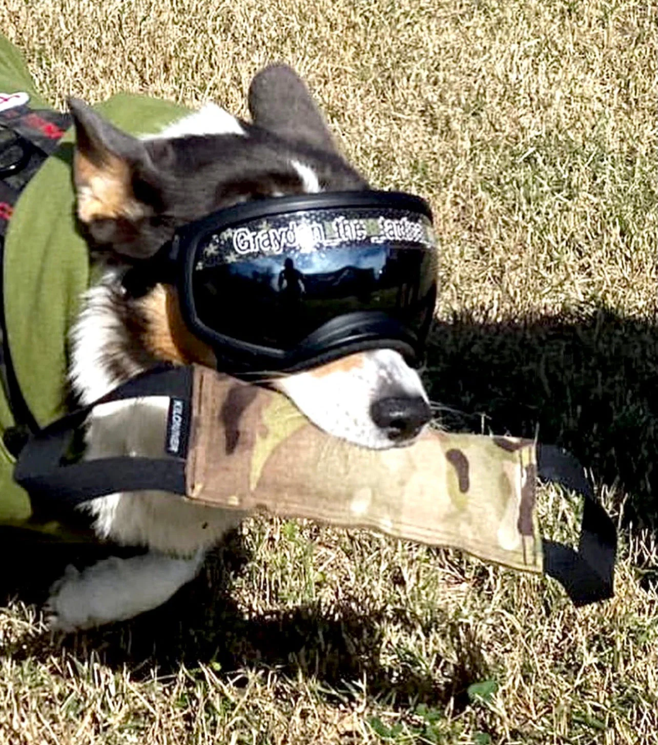 Mini Training Tug Toy - Image 3