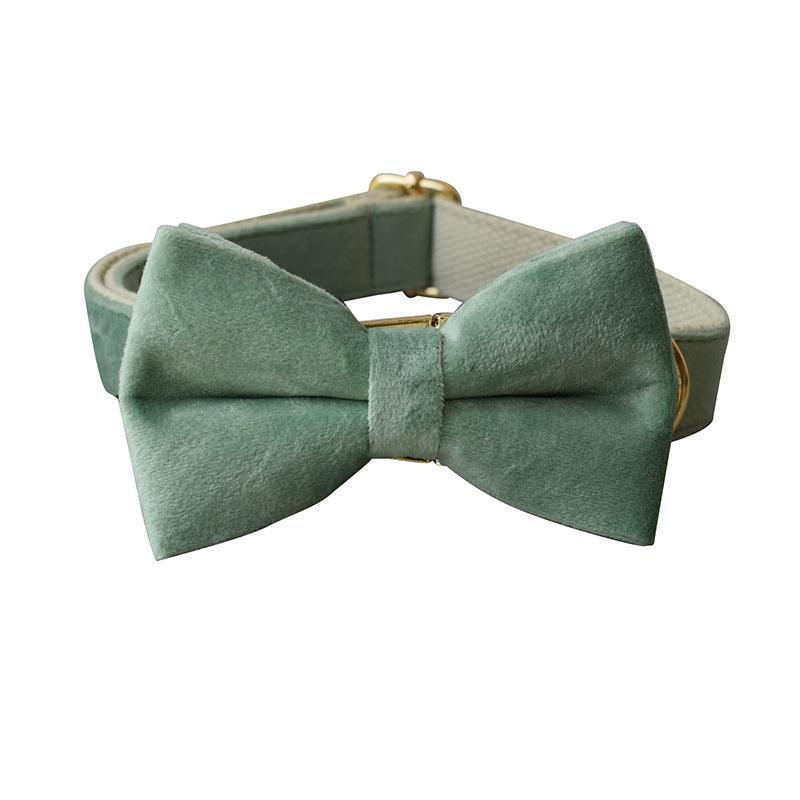 Mint Green Dog Collar Leash - Image 3