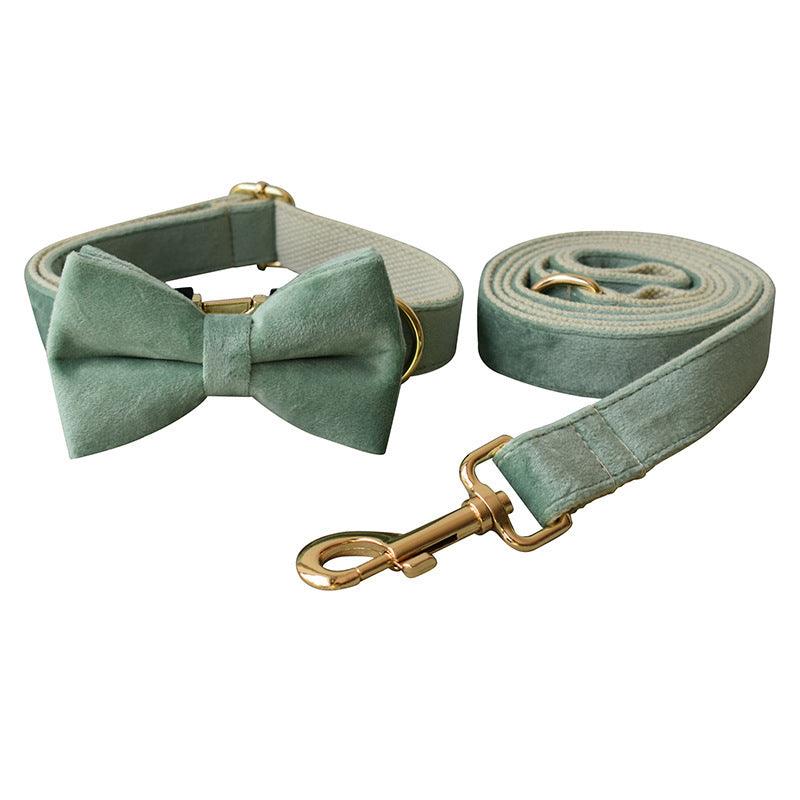 Mint Green Dog Collar Leash - Image 4