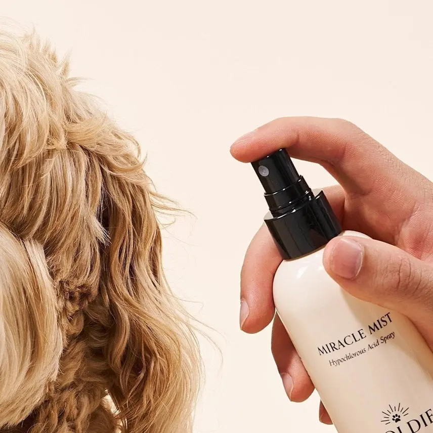 Miracle Mist - Dog Skin Treatment - Image 2