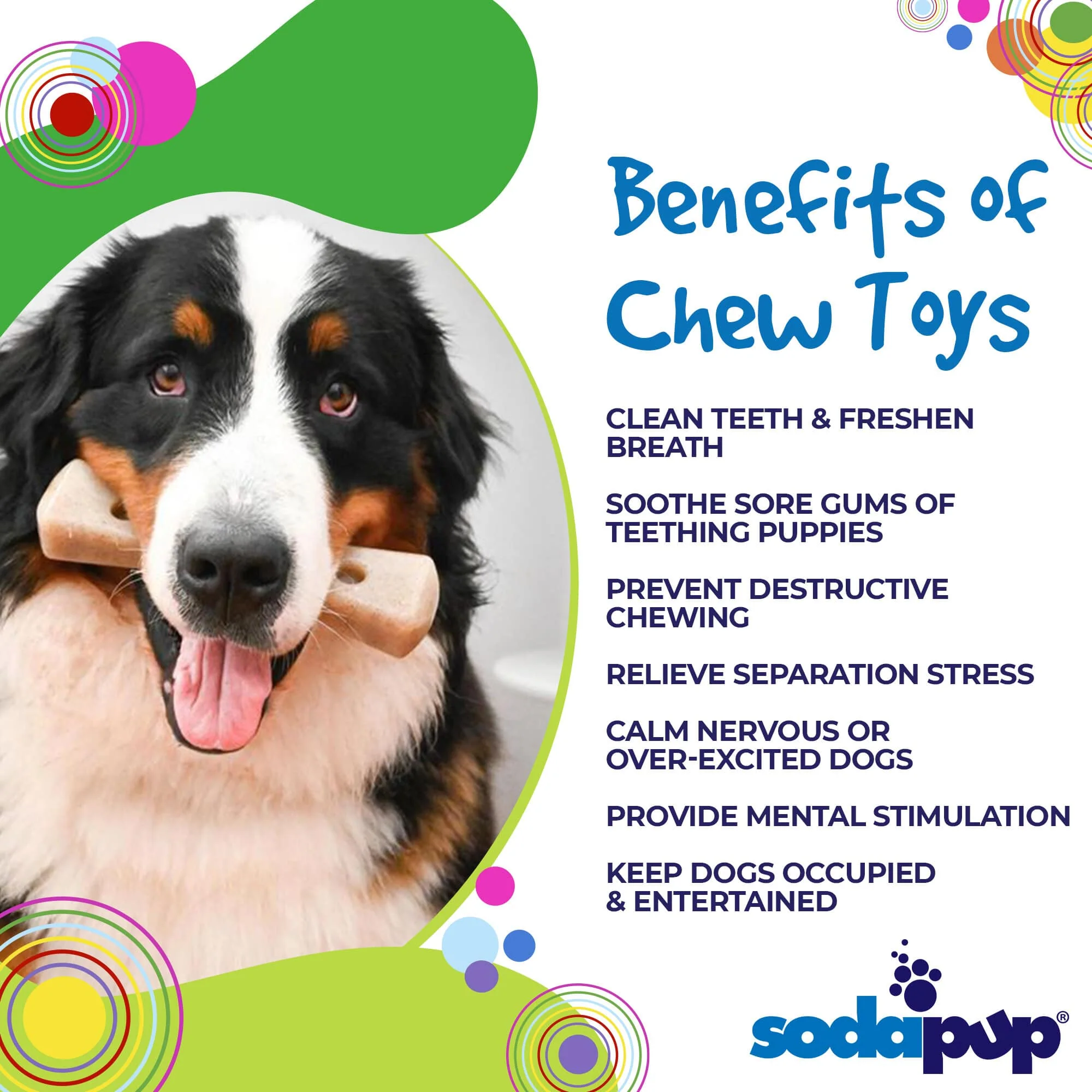 MOD Bone Nylon Dog Chew Toy for Aggressive Chewers | USA Made - Image 3