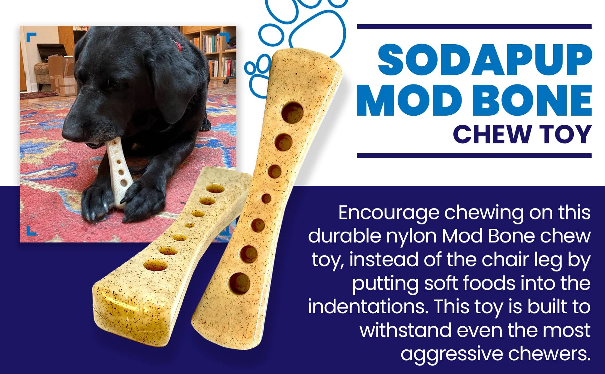 MOD Bone Nylon Dog Chew Toy for Aggressive Chewers | USA Made - Image 5