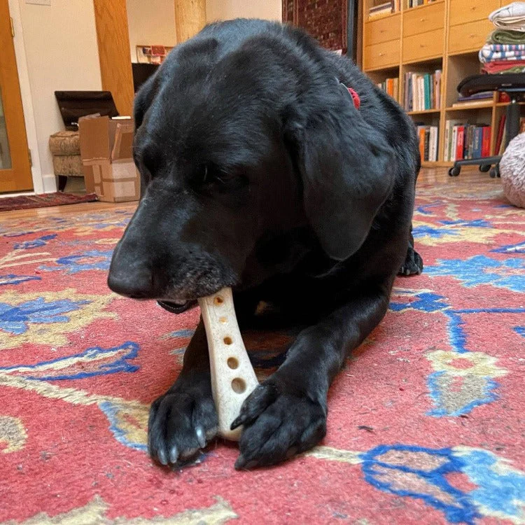 MOD Bone Nylon Dog Chew Toy for Aggressive Chewers | USA Made - Image 7