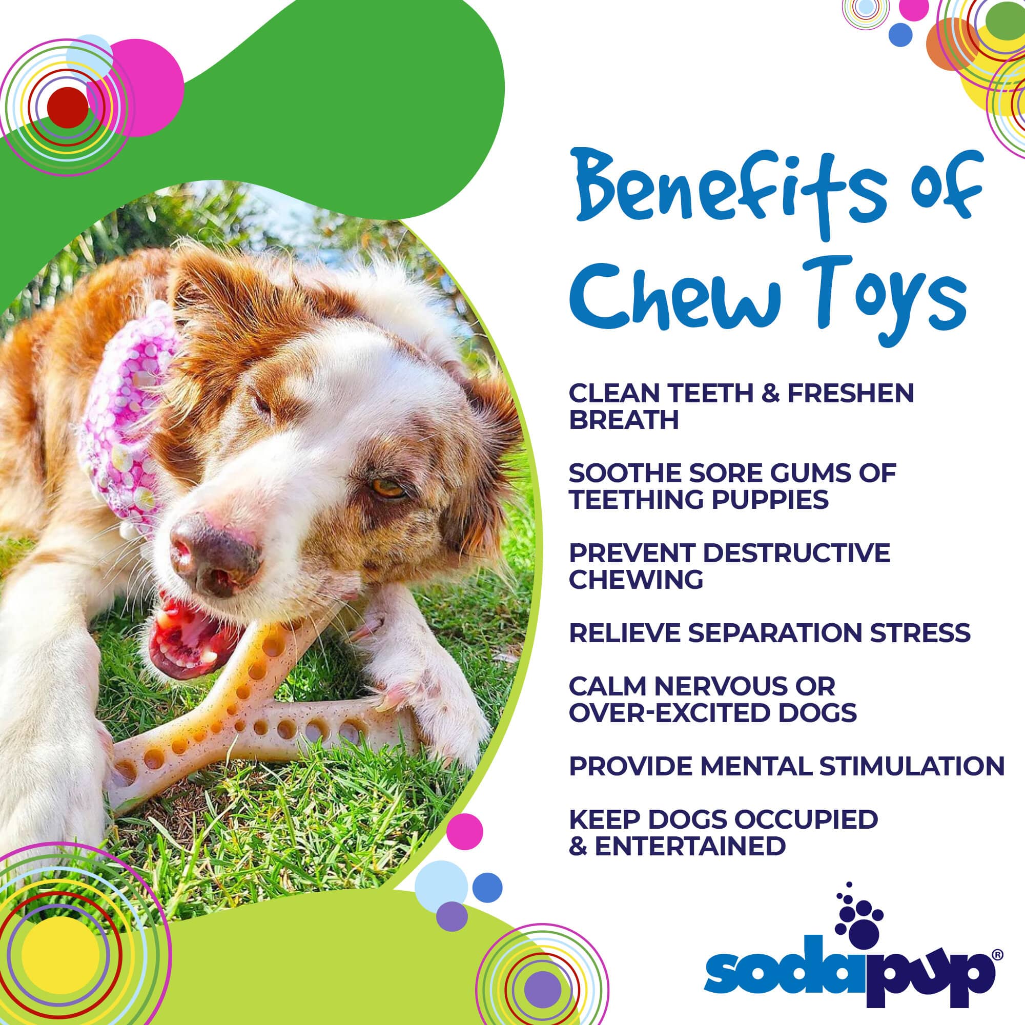 MOD Wishbone Nylon Dog Chew Toy for Aggressive Chewers | USA Made - Image 3
