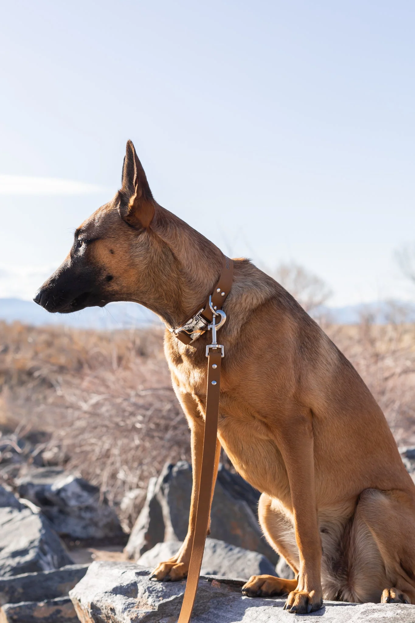Modern Style Earth Brown Leather Leash - Image 2
