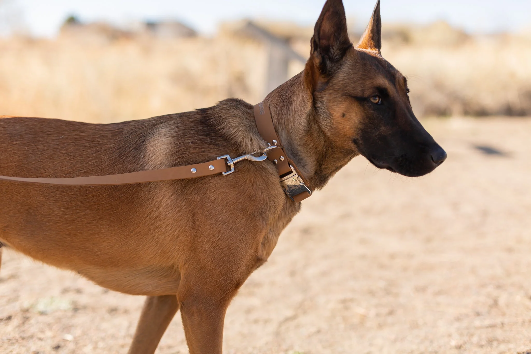 Modern Style Quick-Release Khaki Leather Dog Collar - Image 4