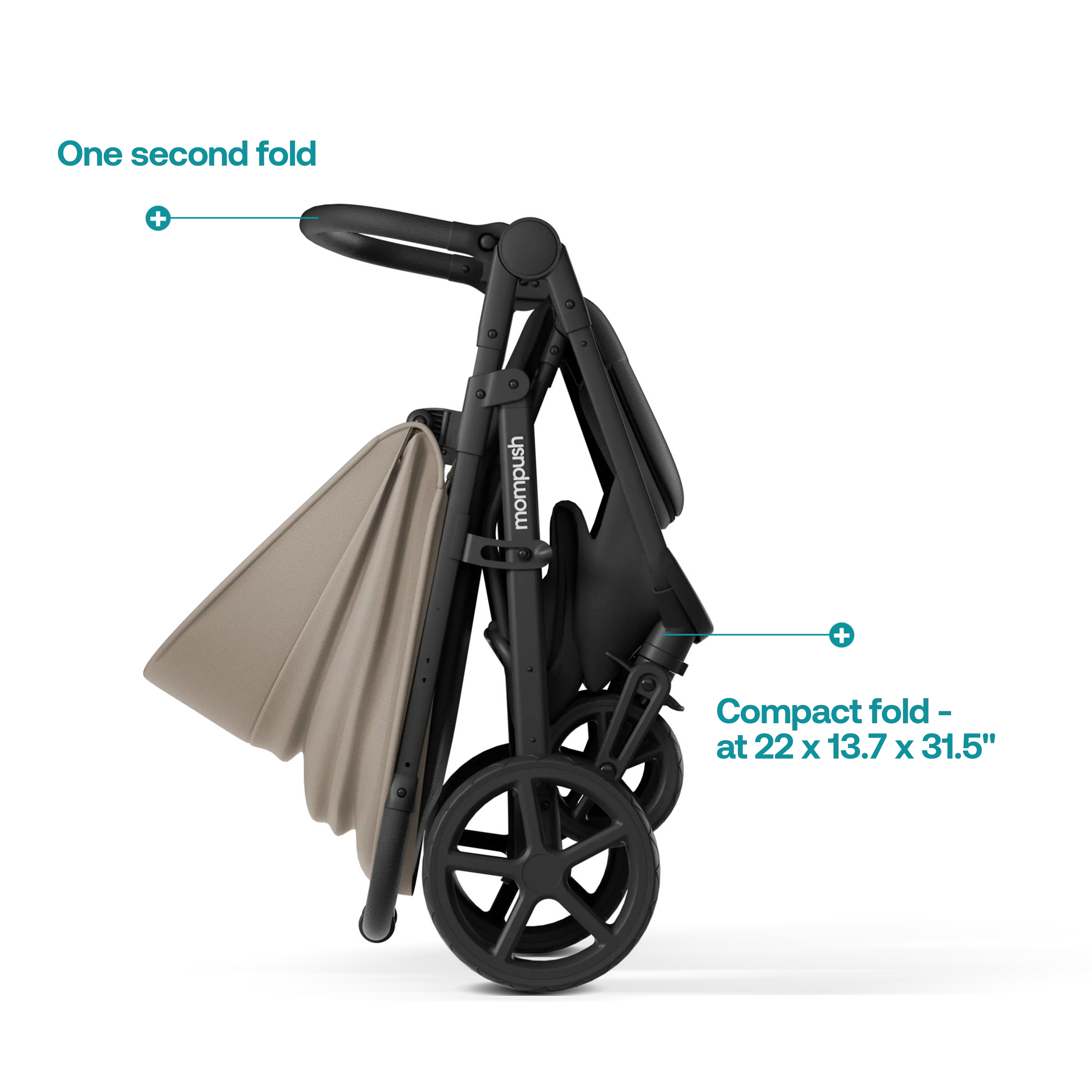 Mompush Nova - Image 15