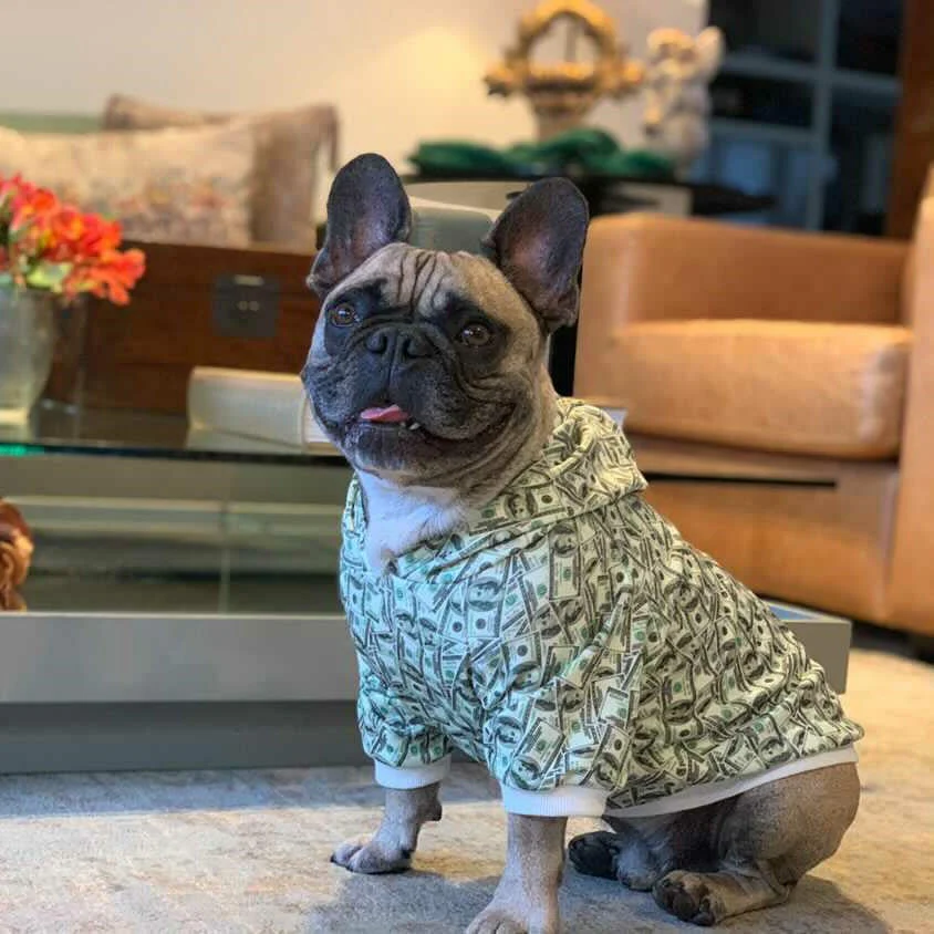 Money Print Dog Hoodie - Image 8