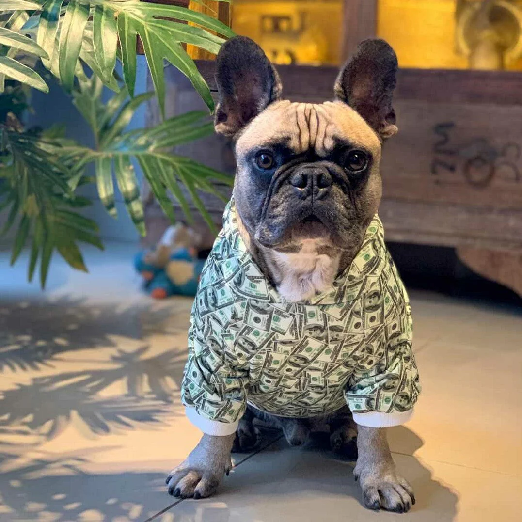 Money Print Dog Hoodie - Image 9