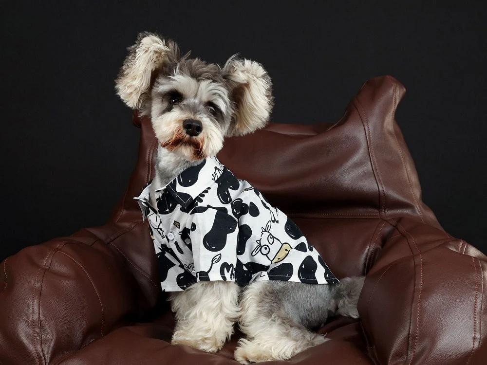 Moo-Cute Cow Shirt For Dog Pet - Image 4