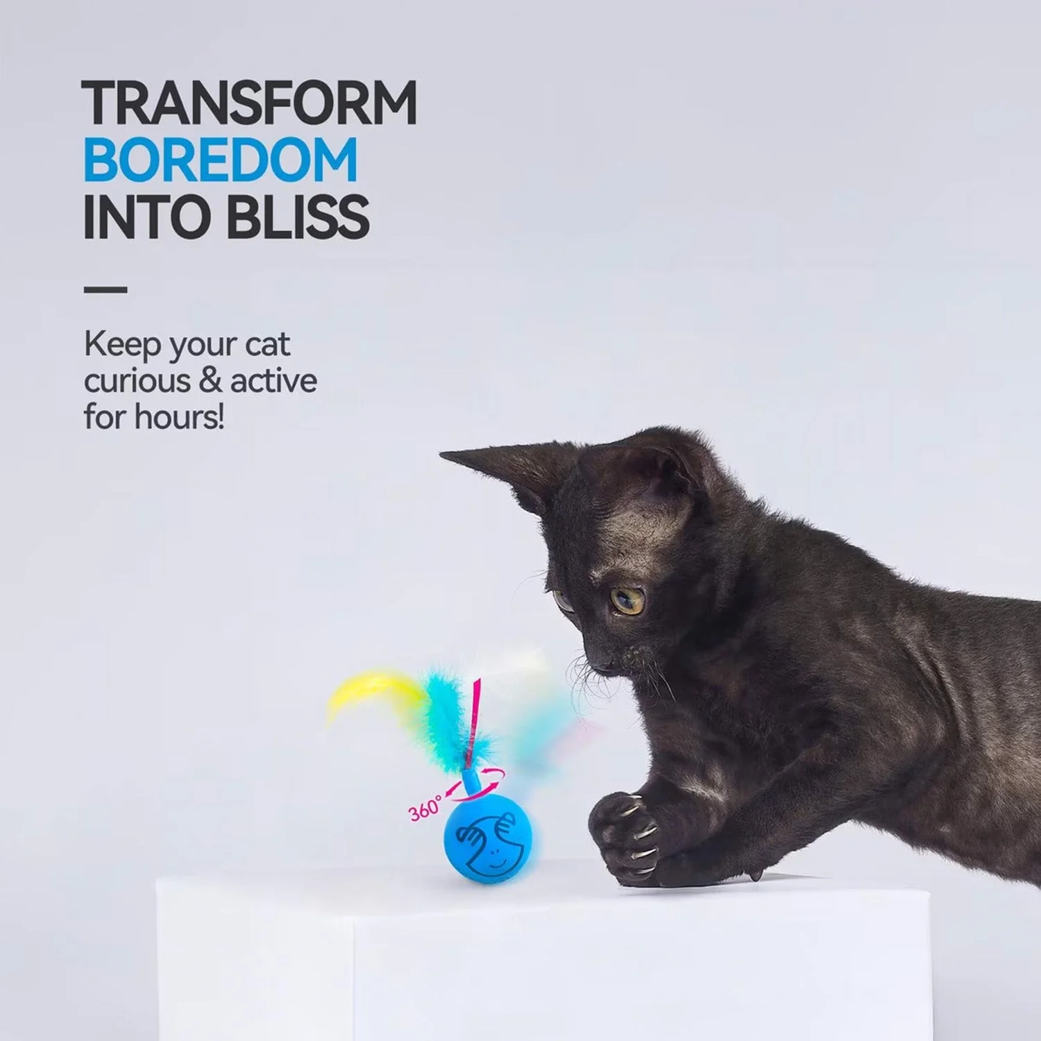 Mordern Cat - Dizzy Spinner Cat Toy - Image 4