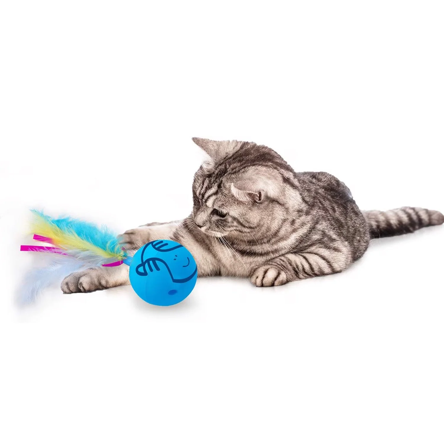 Mordern Cat - Dizzy Spinner Cat Toy - Image 7