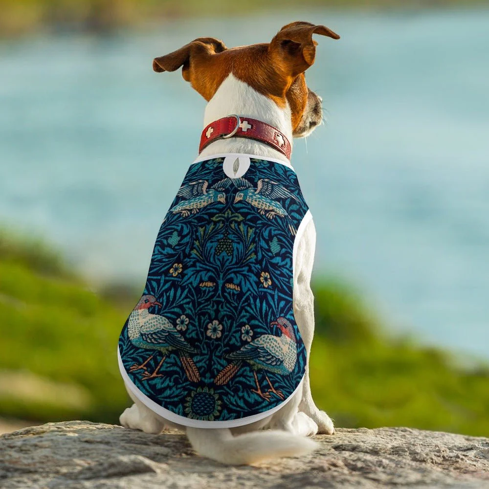 Morris Bird Pet Vest - Image 5