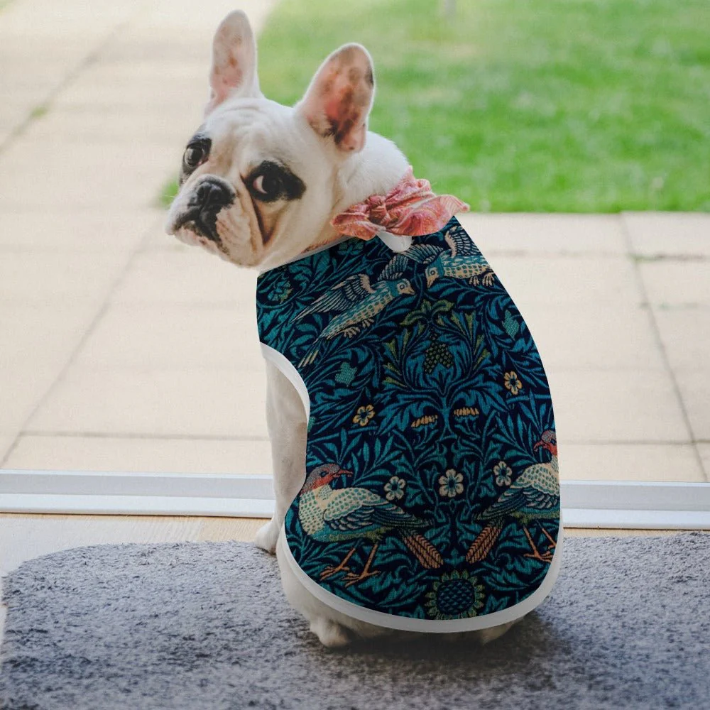Morris Bird Pet Vest - Image 6