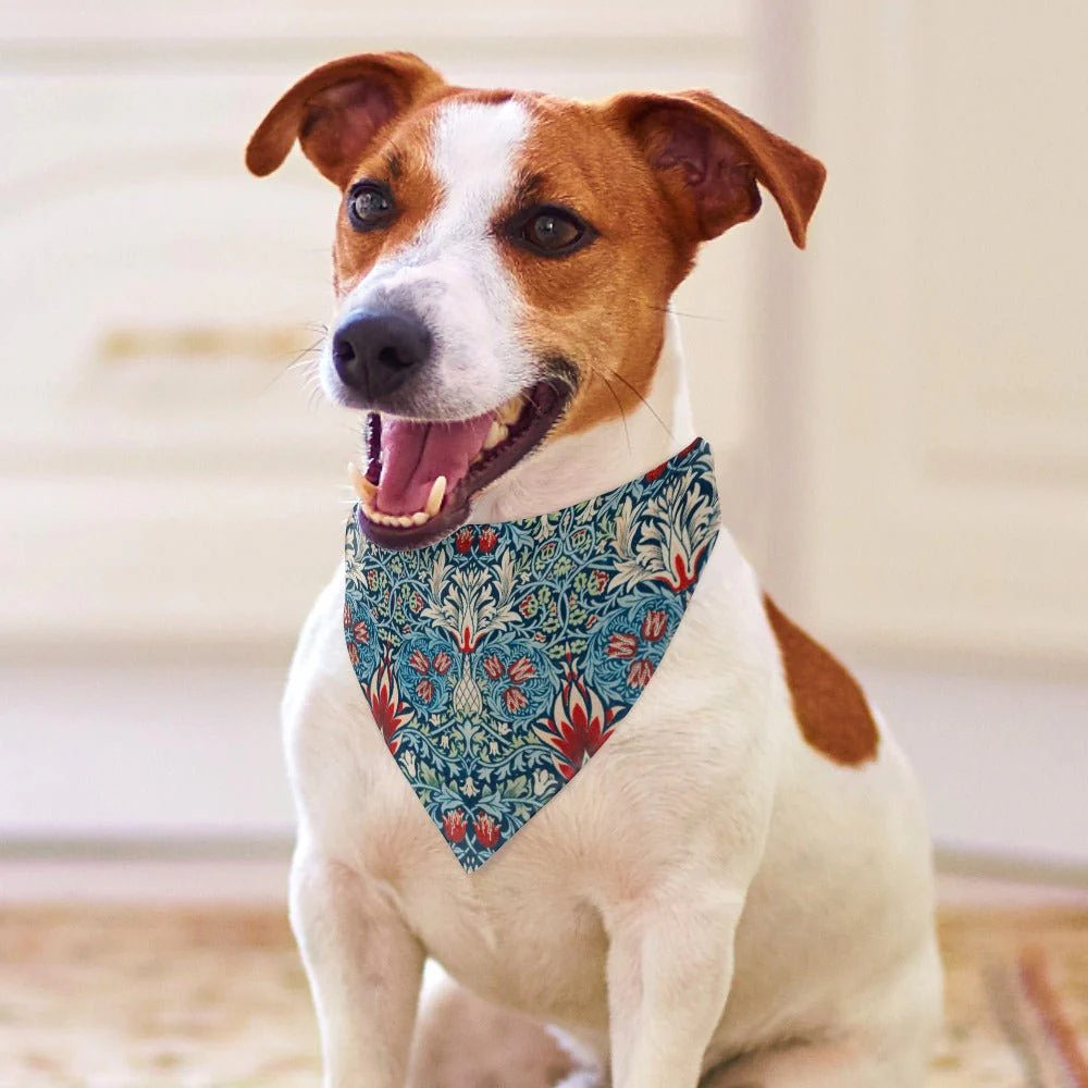 Morris Snakeshead Pet Scarf - Image 4