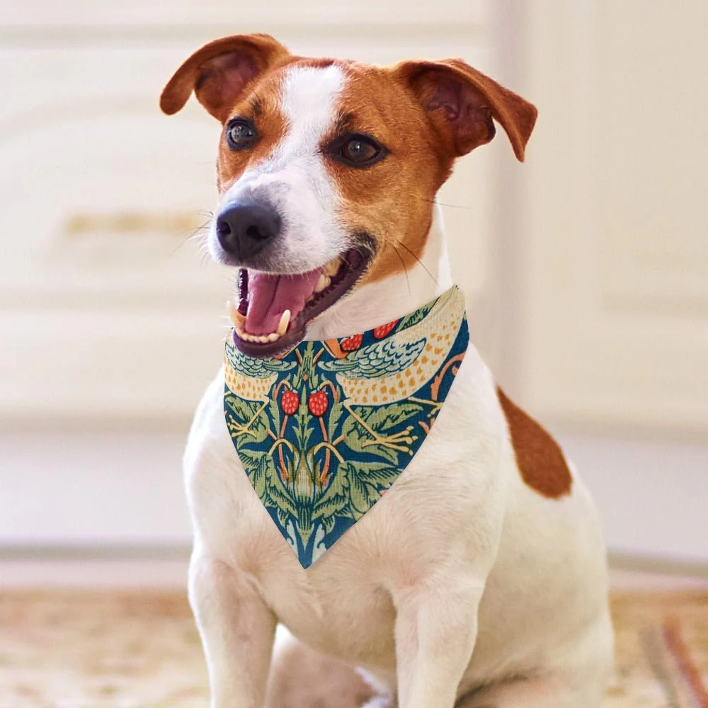 Morris Strawberry Thief Pet Scarf - Image 4