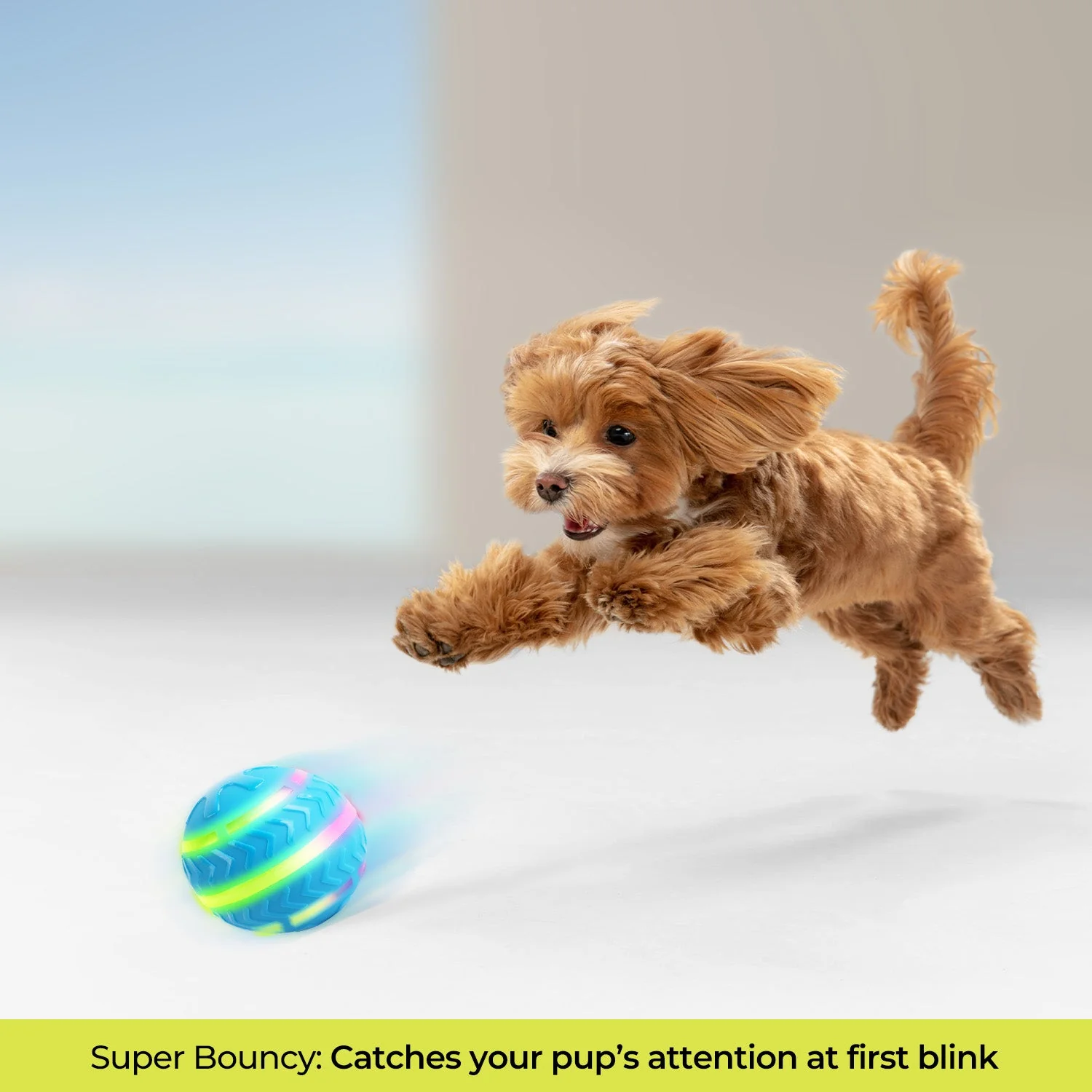 Motion-Activated LED Dog Ball - Image 3