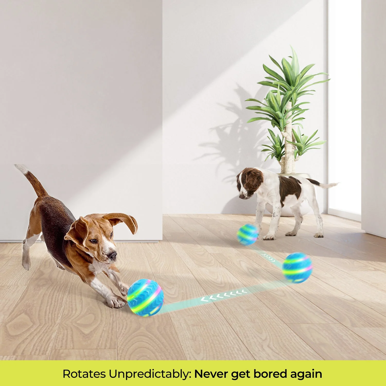 Motion-Activated LED Dog Ball - Image 4