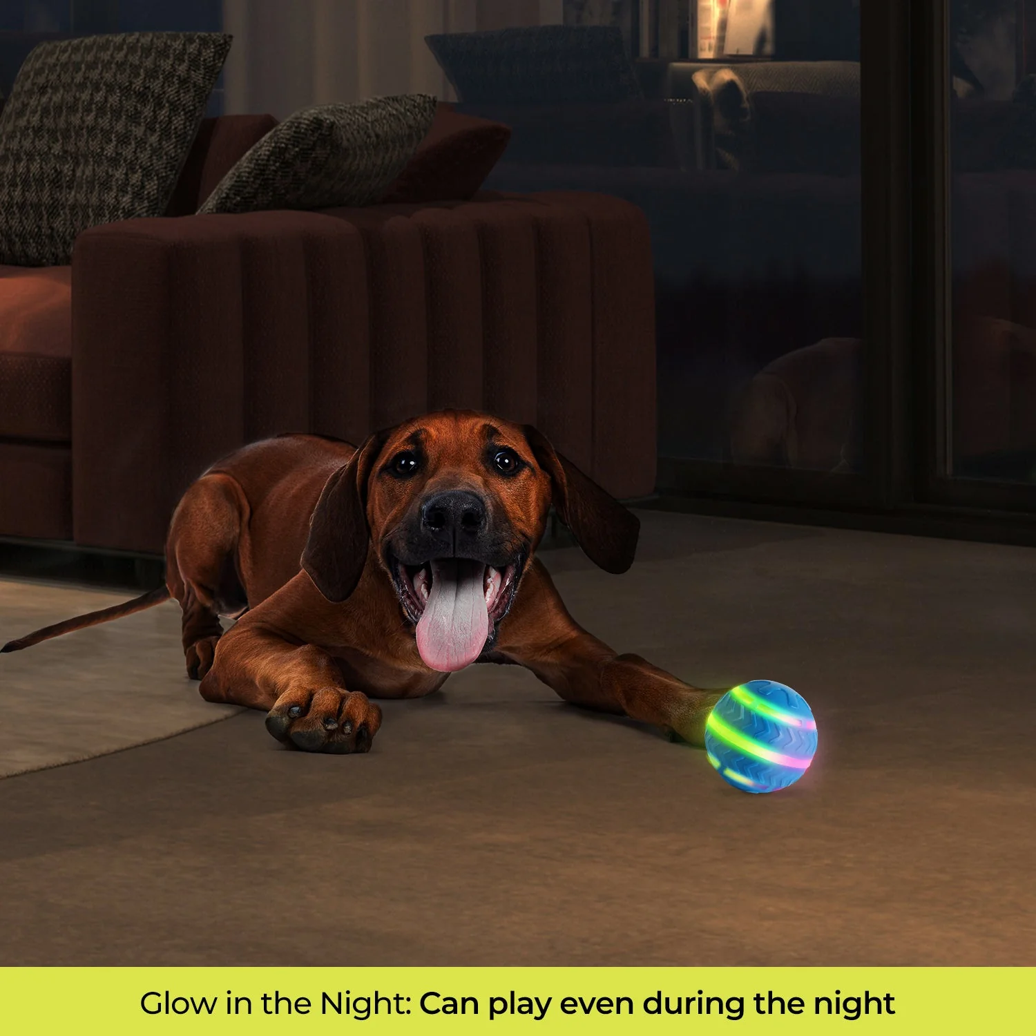 Motion-Activated LED Dog Ball - Image 5