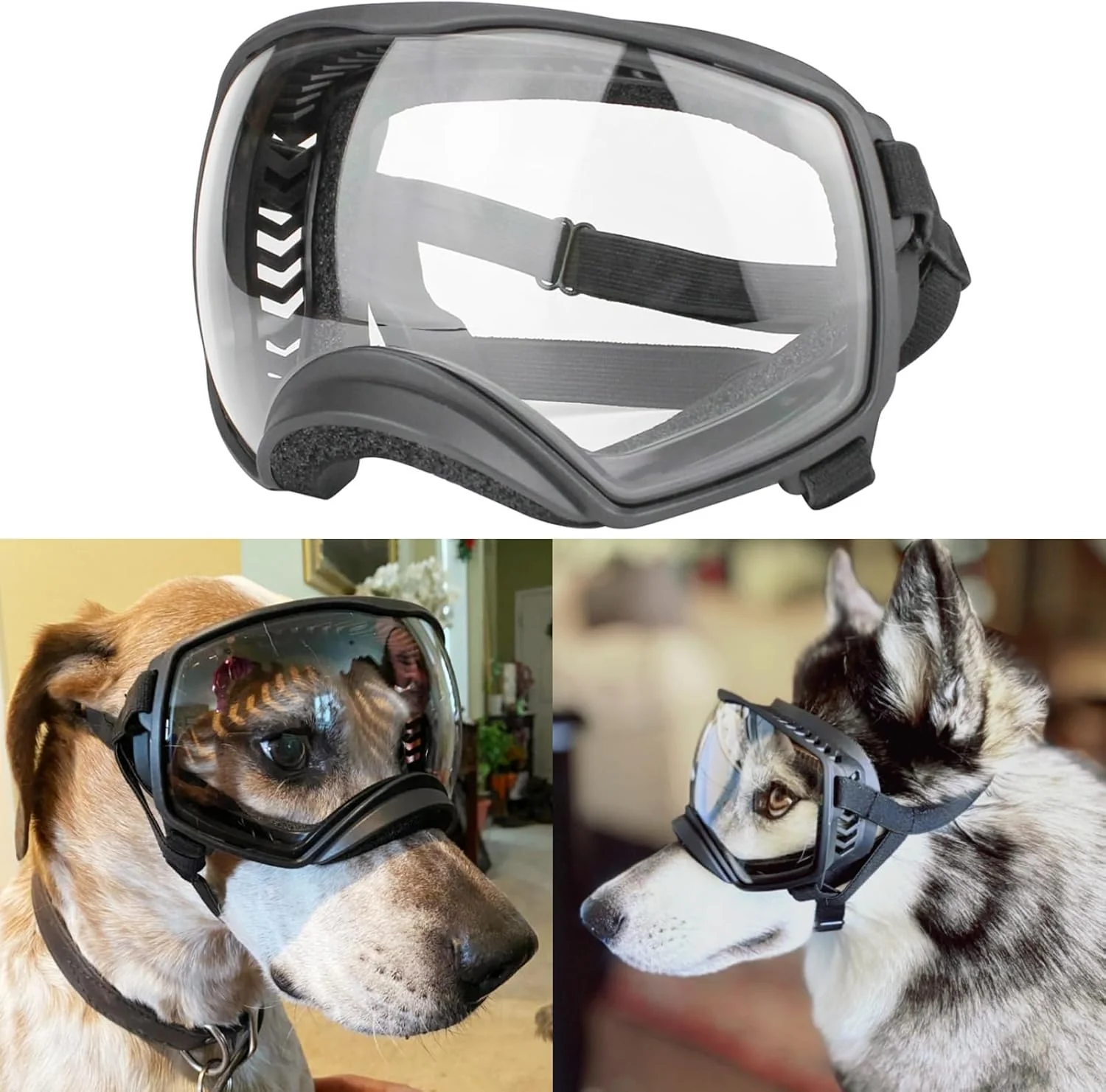 Motorcycle Dog Goggles Tactical Windproof For Large Dog - Image 10