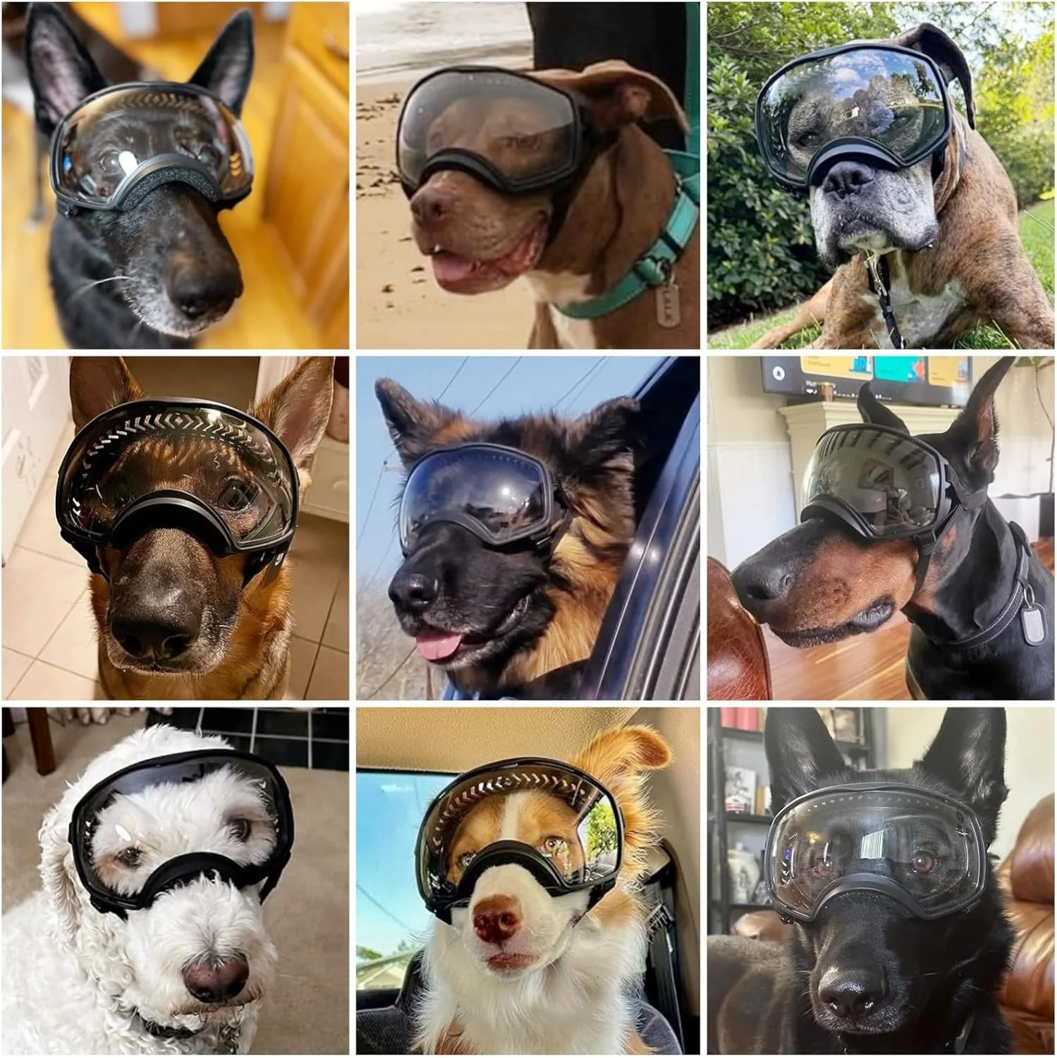 Motorcycle Dog Goggles Tactical Windproof For Large Dog - Image 2