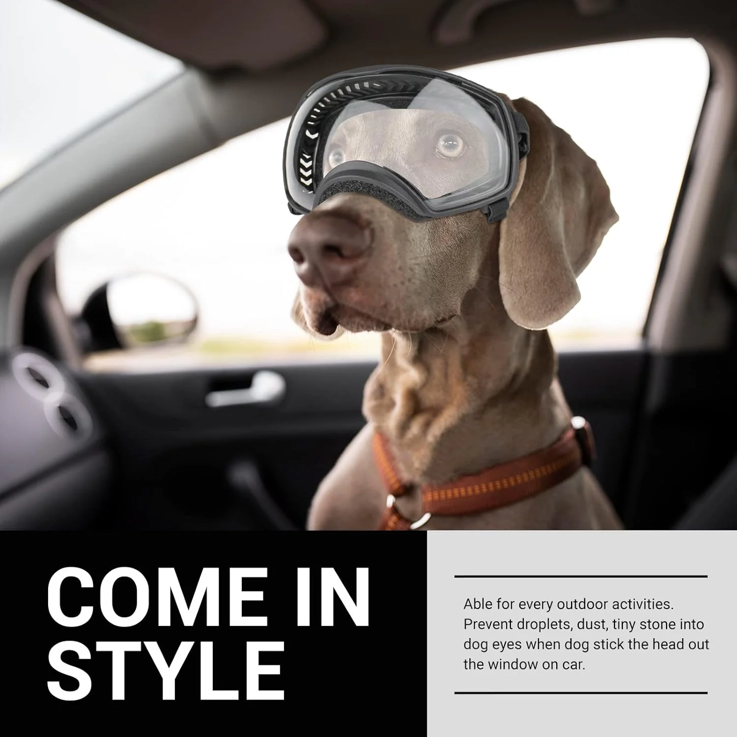 Motorcycle Dog Goggles Tactical Windproof For Large Dog - Image 9