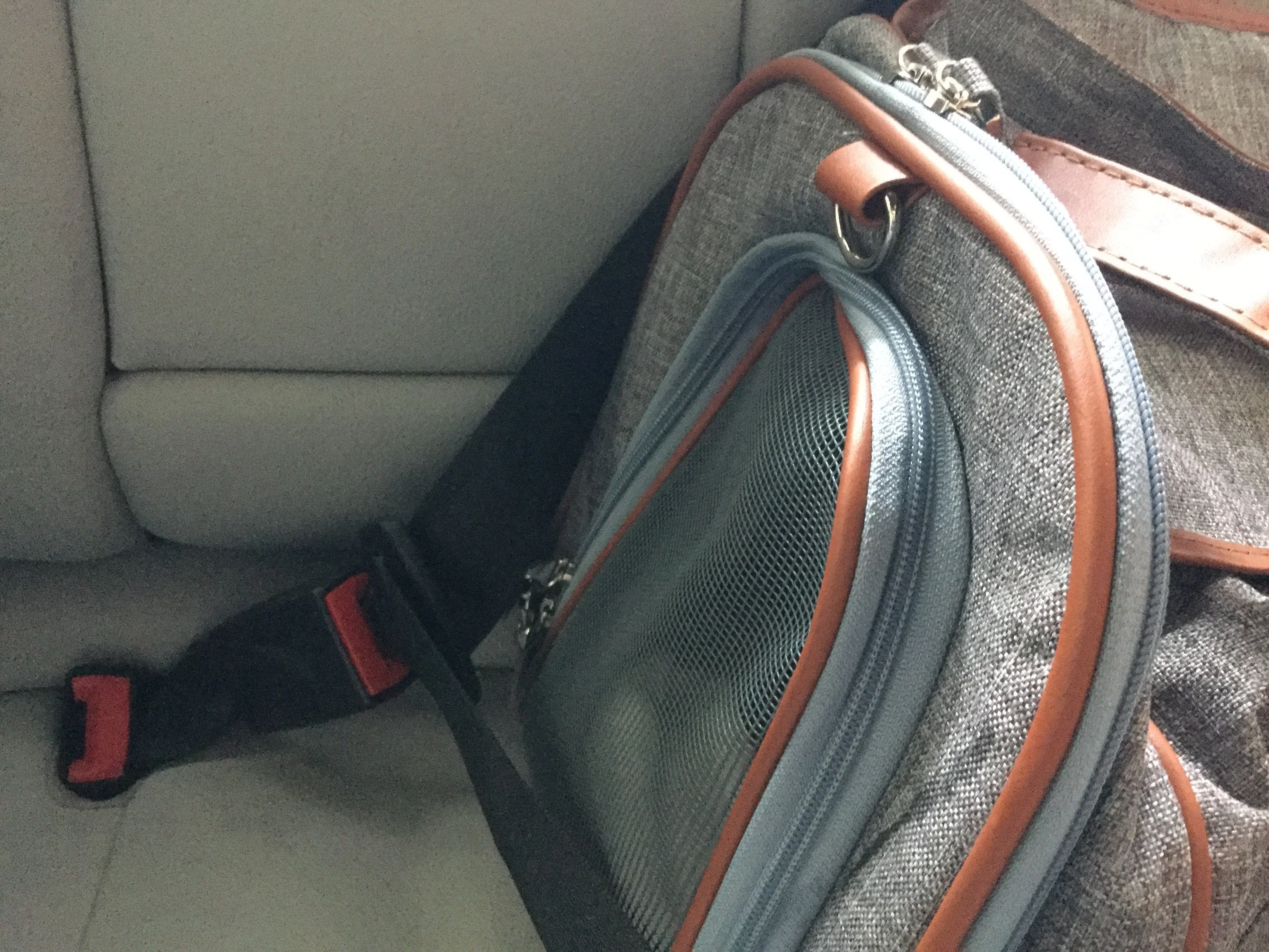 Mr. Peanut's Gold Series Big Apple XL Size Double Expandable Pet Carrier - Image 15