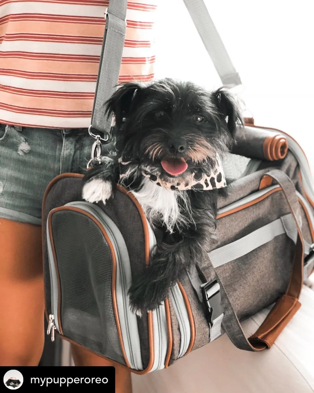 Mr. Peanut's Gold Series Mini Size Airline Compliant Expandable Pet Carrier - Image 6