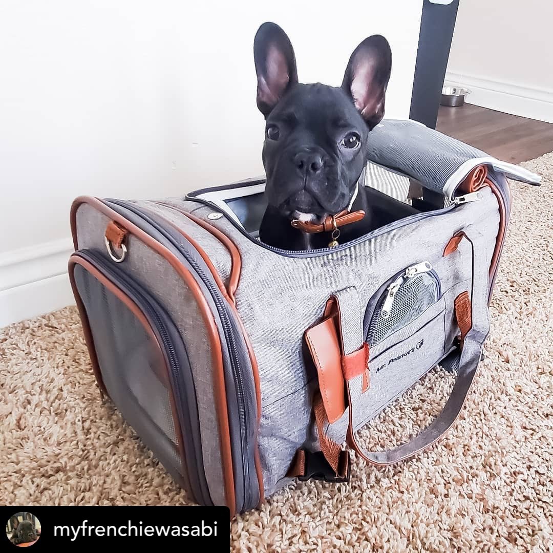 Mr. Peanut's Gold Series Standard Size Airline Compliant Pet Carrier - Image 16