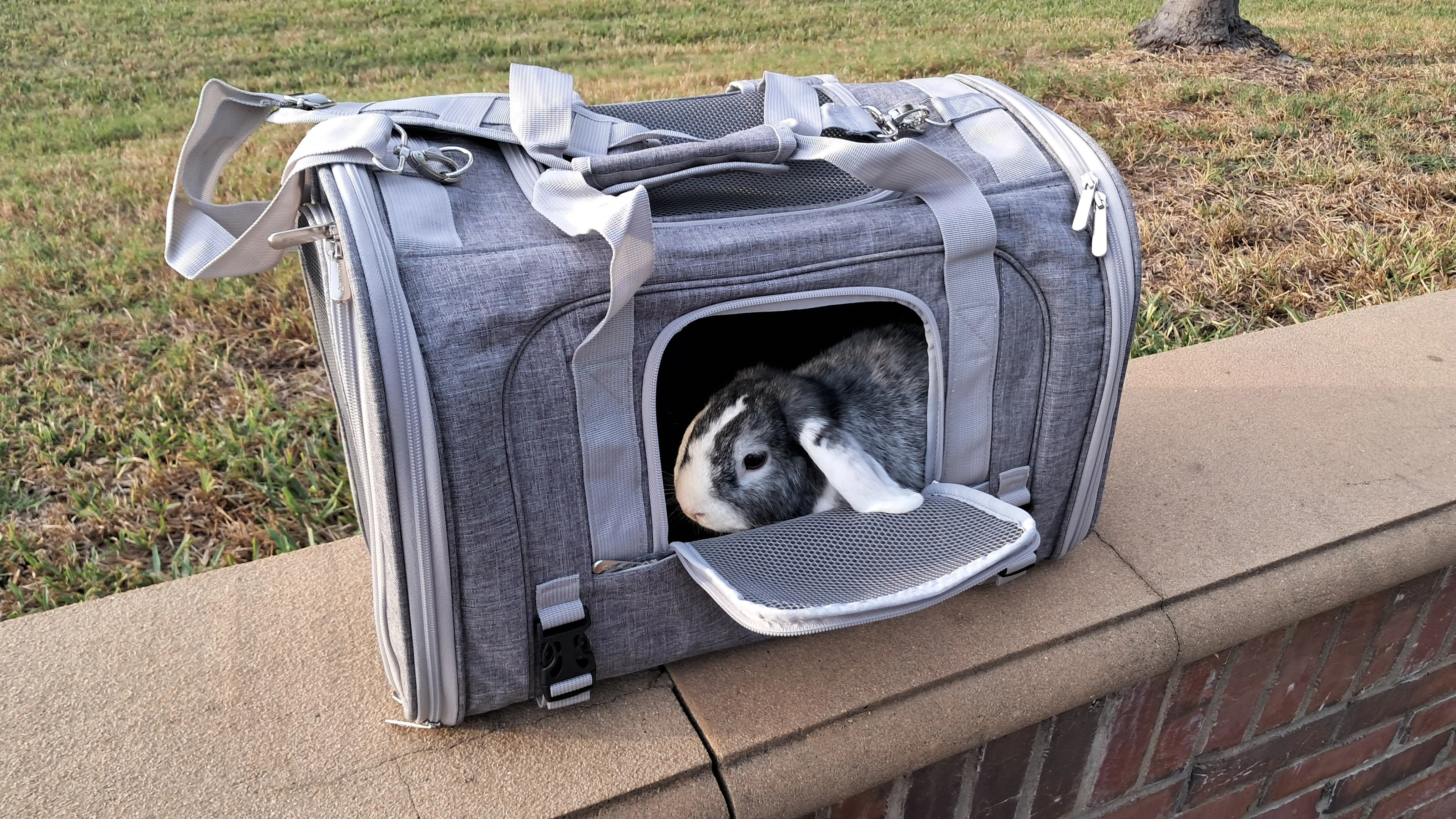 Mr. Peanut's Monterey Series Airline Compliant Horizontal Backpack Pet Carrier - Image 33