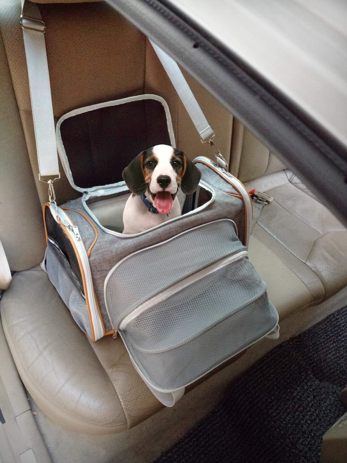 Mr. Peanut's Platinum Series Expandable Pet Carrier - Image 31