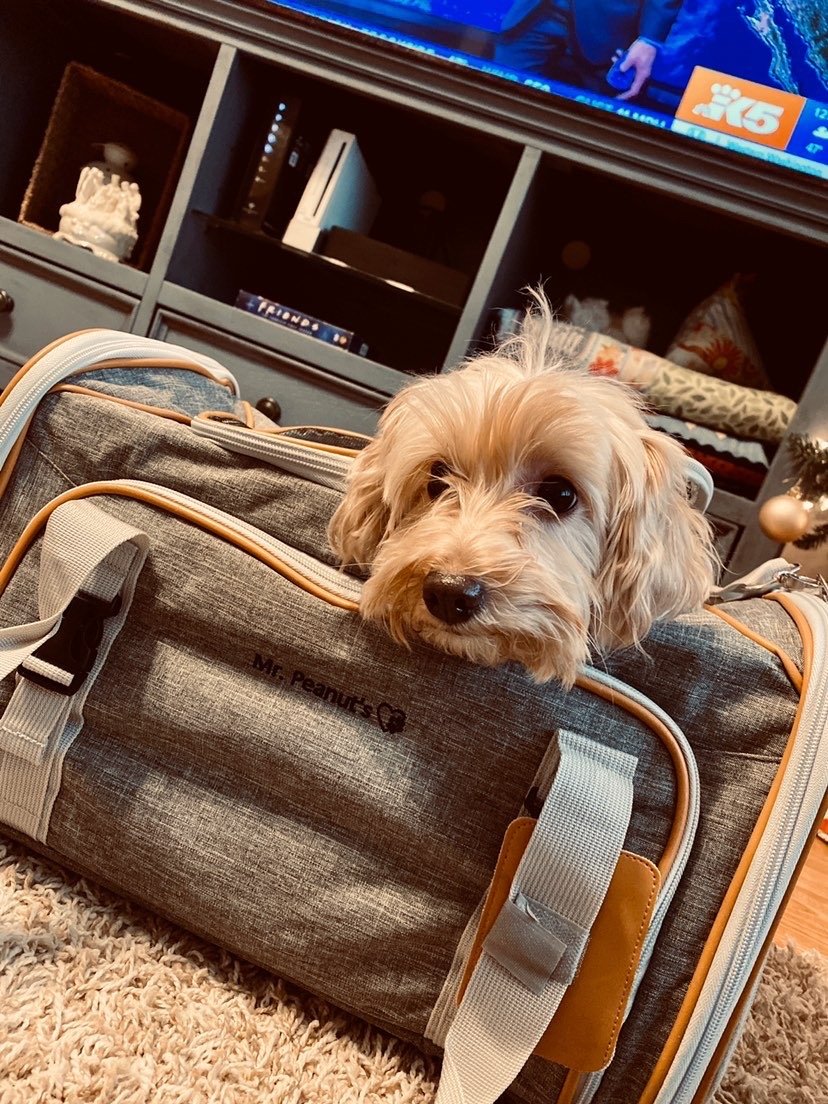 Mr. Peanut's Platinum Series Expandable Pet Carrier - Image 34