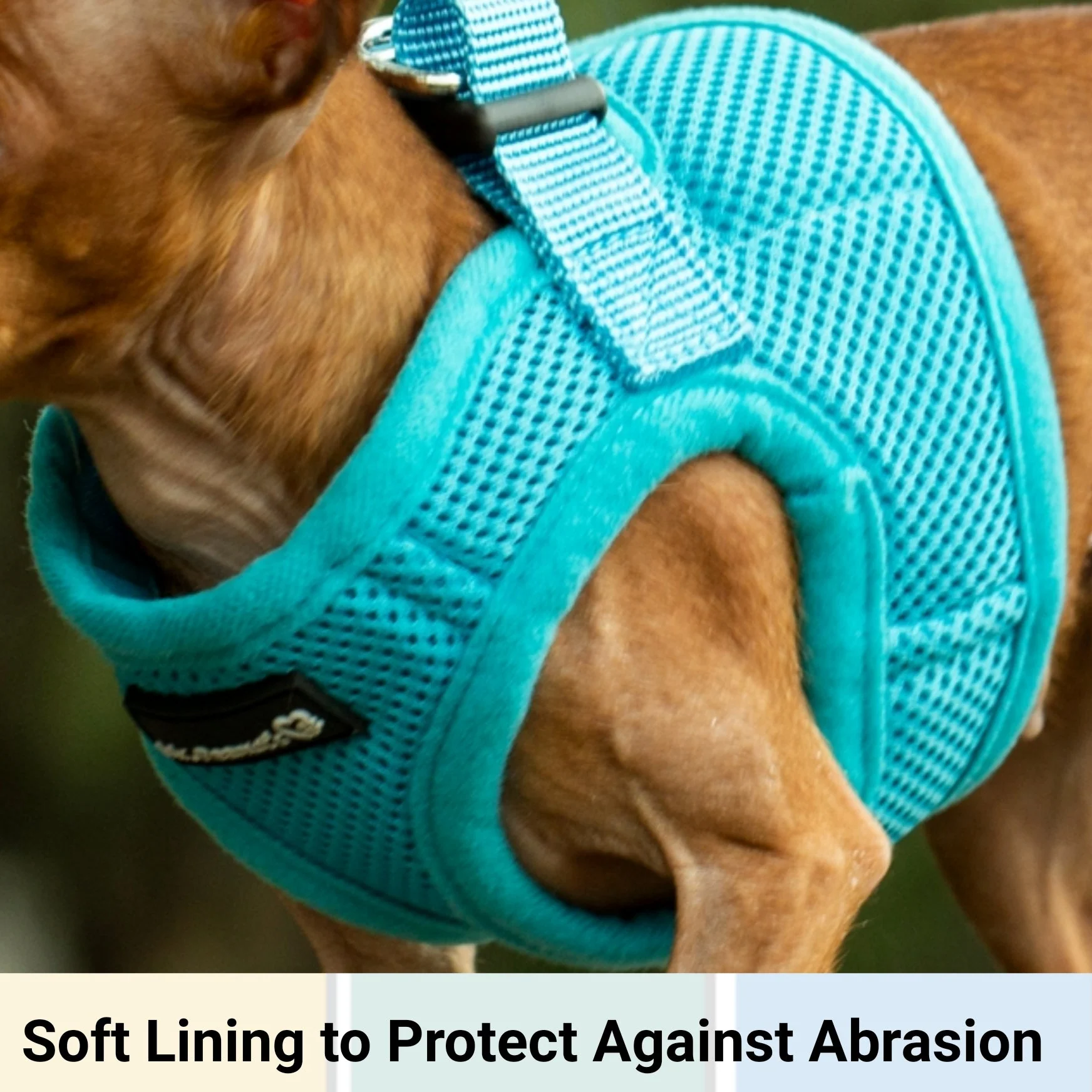 Mr. Peanut's PupTrek Soft Mesh Pet Harness with Matching Leash – Adjustable, Breathable, Choke-Free - Image 12