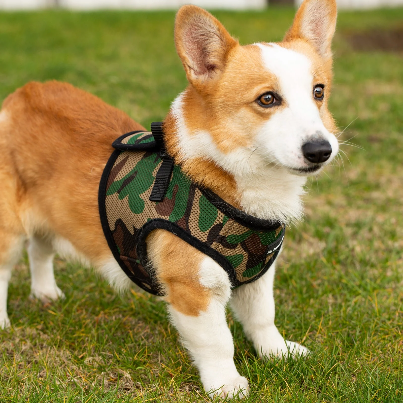 Mr. Peanut's PupTrek Soft Mesh Pet Harness with Matching Leash – Adjustable, Breathable, Choke-Free - Image 13