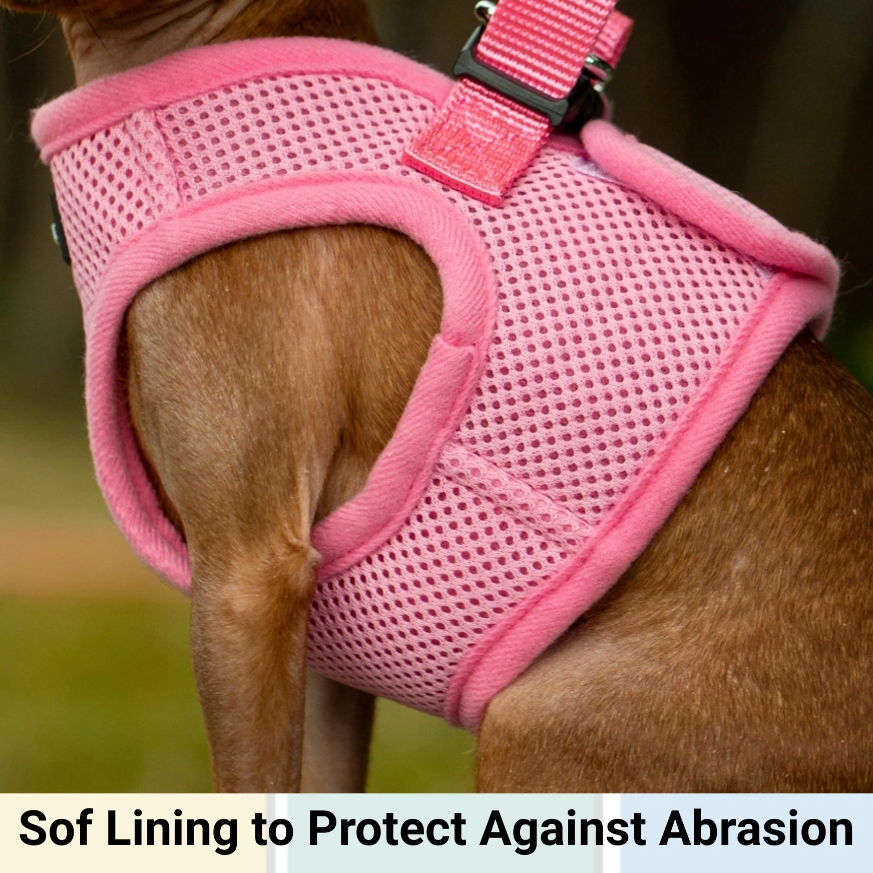 Mr. Peanut's PupTrek Soft Mesh Pet Harness with Matching Leash – Adjustable, Breathable, Choke-Free - Image 17