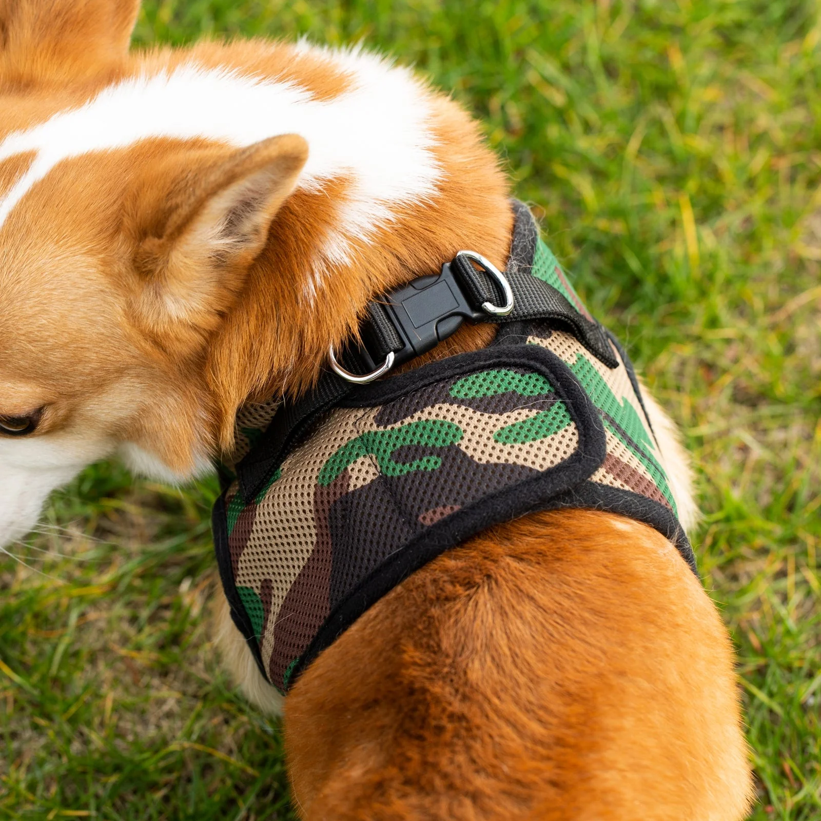 Mr. Peanut's PupTrek Soft Mesh Pet Harness with Matching Leash – Adjustable, Breathable, Choke-Free - Image 20