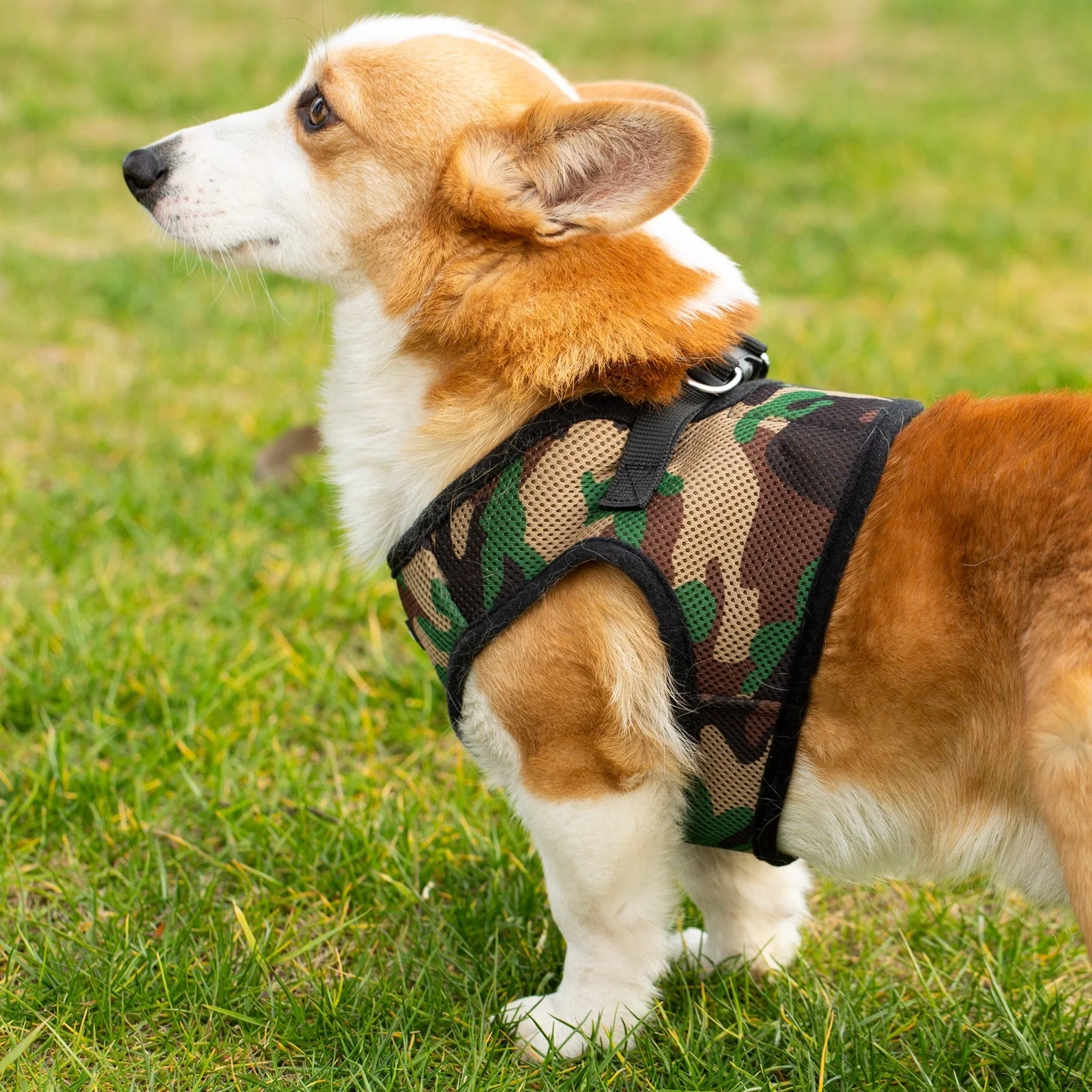 Mr. Peanut's PupTrek Soft Mesh Pet Harness with Matching Leash – Adjustable, Breathable, Choke-Free - Image 23