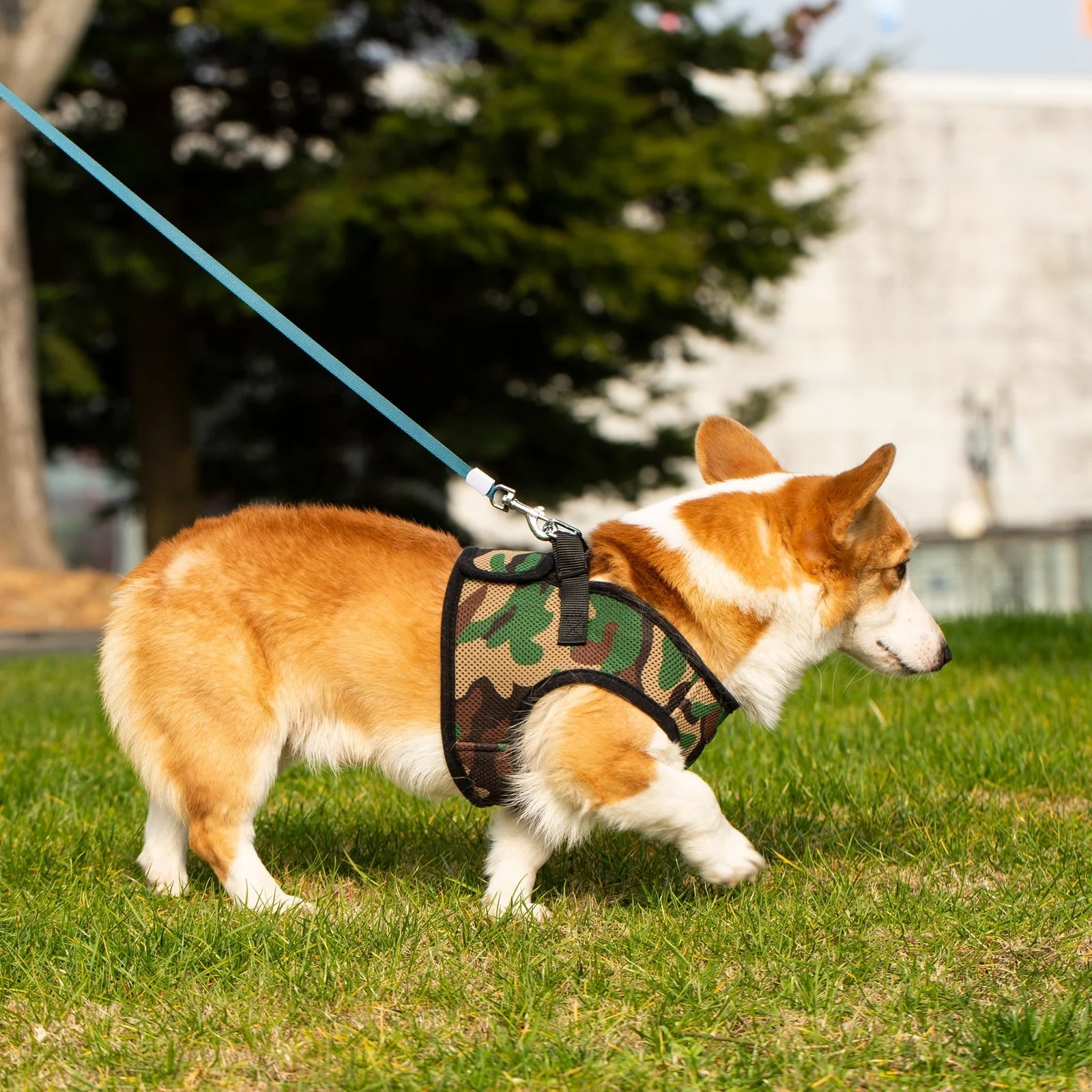 Mr. Peanut's PupTrek Soft Mesh Pet Harness with Matching Leash – Adjustable, Breathable, Choke-Free - Image 25