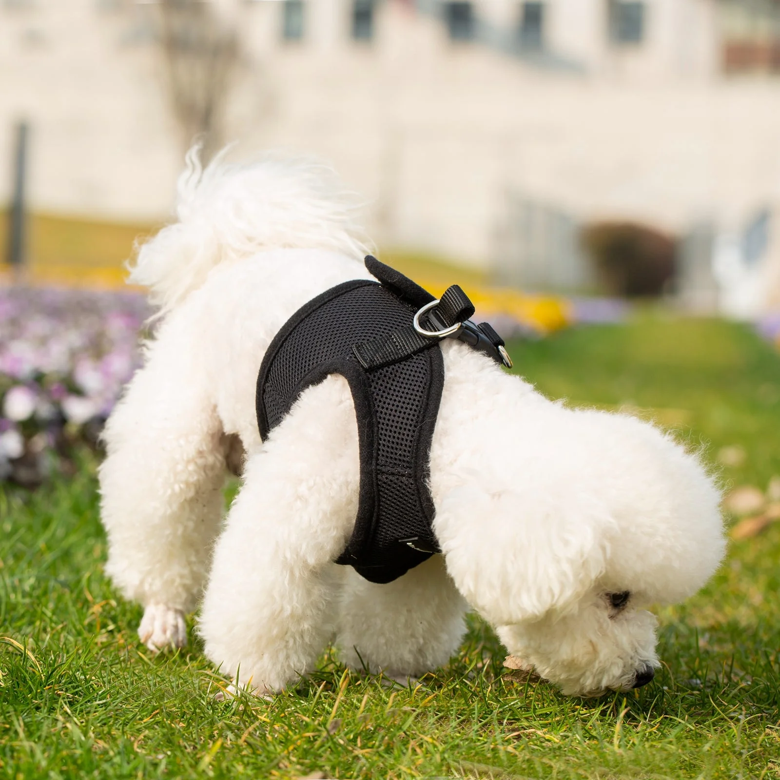 Mr. Peanut's PupTrek Soft Mesh Pet Harness with Matching Leash – Adjustable, Breathable, Choke-Free - Image 26