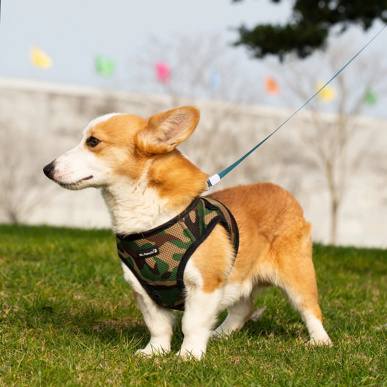 Mr. Peanut's PupTrek Soft Mesh Pet Harness with Matching Leash – Adjustable, Breathable, Choke-Free - Image 28
