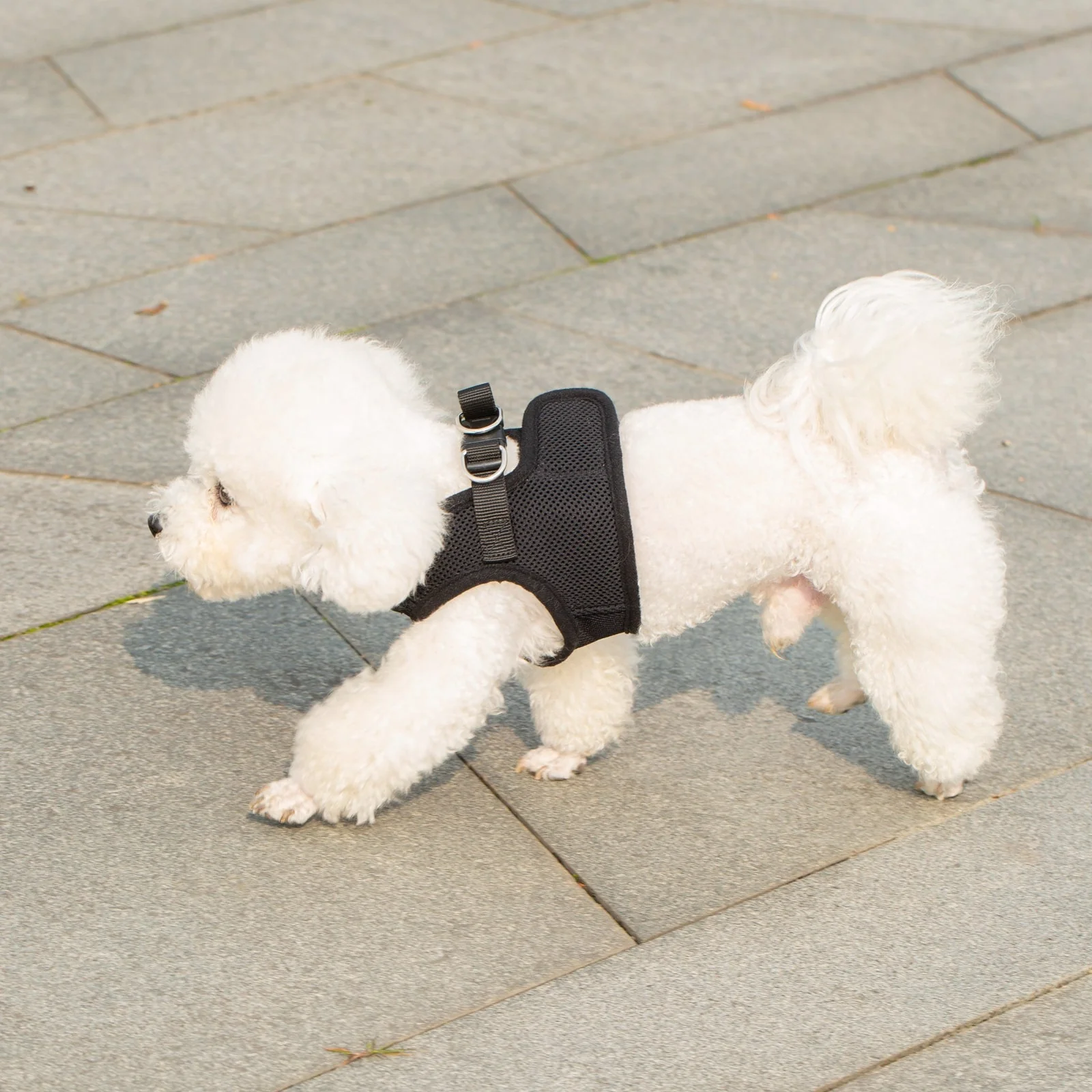 Mr. Peanut's PupTrek Soft Mesh Pet Harness with Matching Leash – Adjustable, Breathable, Choke-Free - Image 34