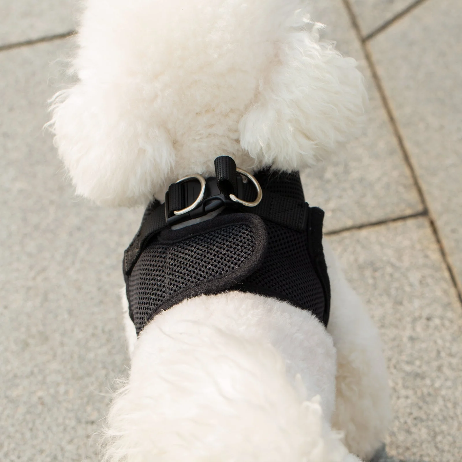 Mr. Peanut's PupTrek Soft Mesh Pet Harness with Matching Leash – Adjustable, Breathable, Choke-Free - Image 36