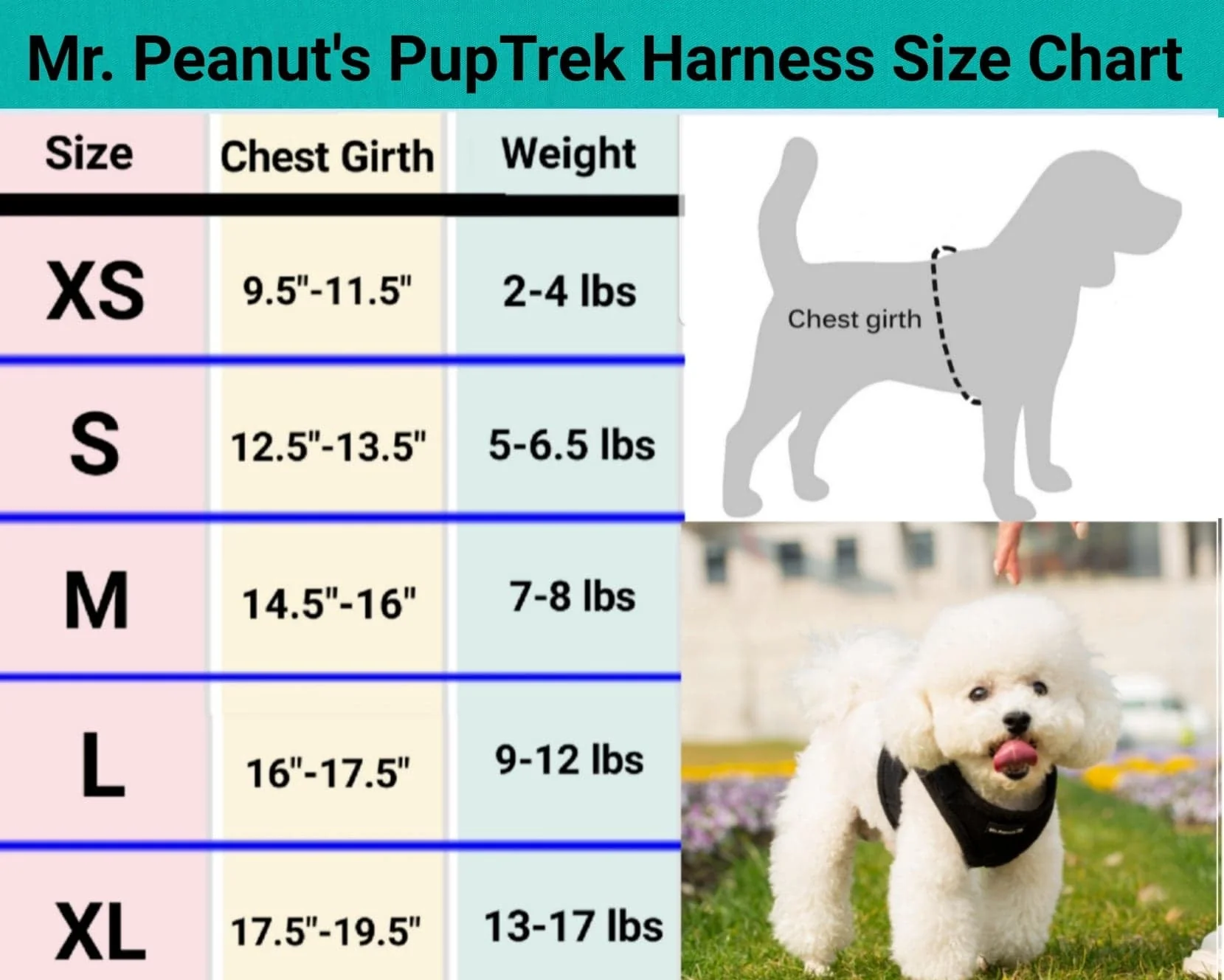 Mr. Peanut's PupTrek Soft Mesh Pet Harness with Matching Leash – Adjustable, Breathable, Choke-Free - Image 4