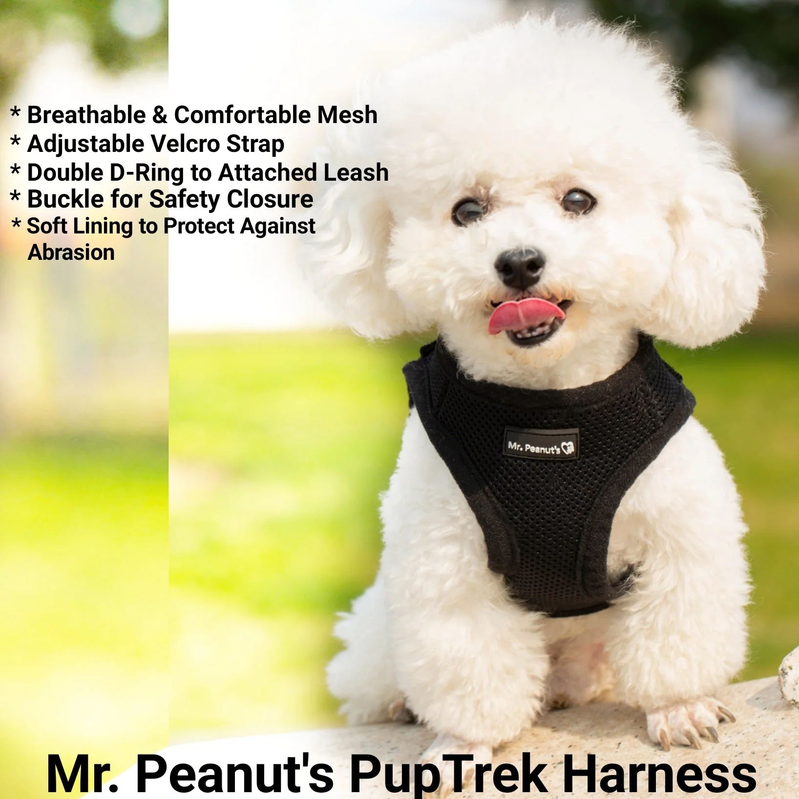 Mr. Peanut's PupTrek Soft Mesh Pet Harness with Matching Leash – Adjustable, Breathable, Choke-Free - Image 7