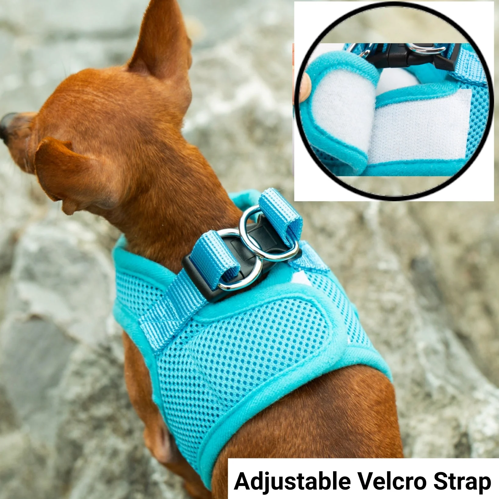 Mr. Peanut's PupTrek Soft Mesh Pet Harness with Matching Leash – Adjustable, Breathable, Choke-Free - Image 9