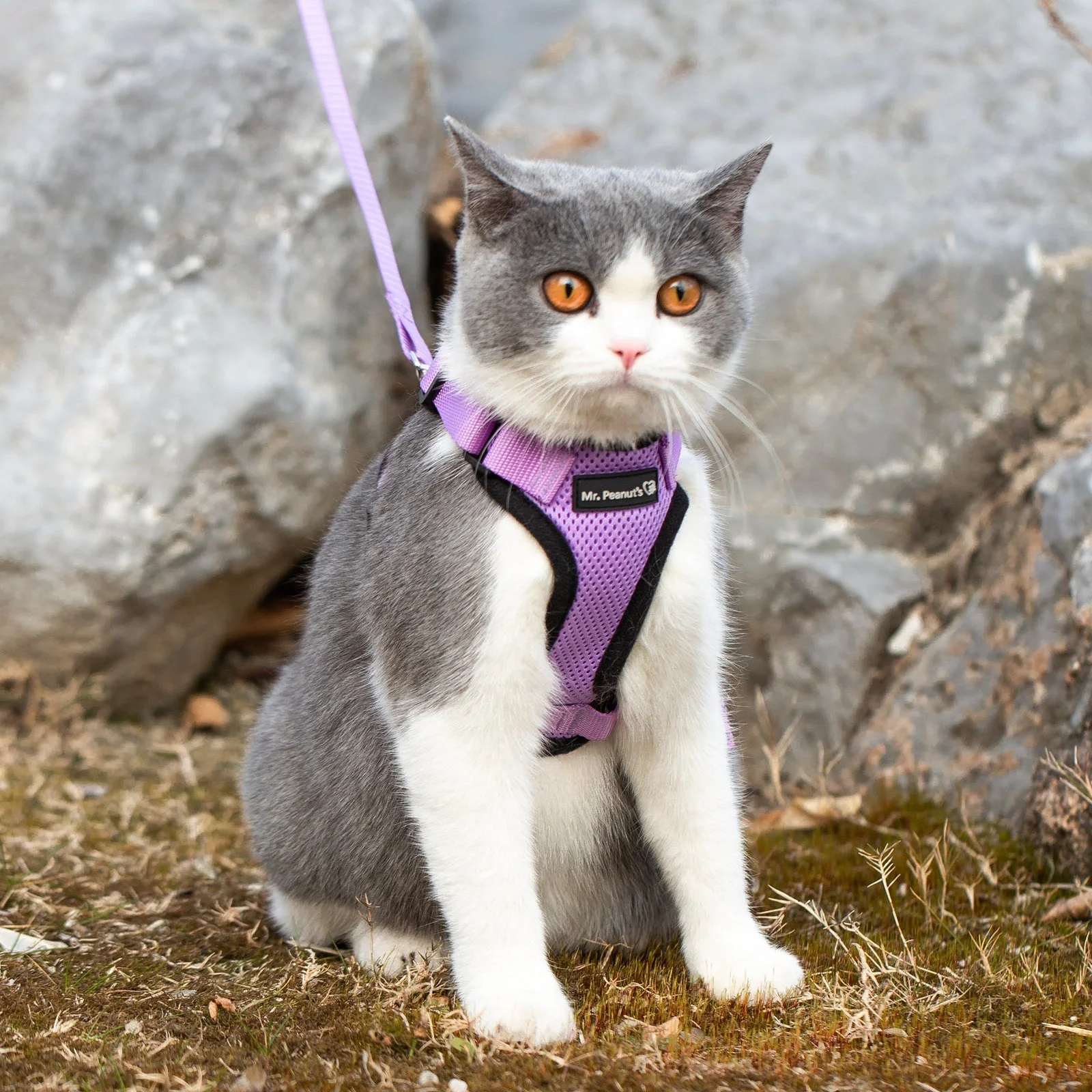 Mr. Peanut's PurrTrek Reflective Cat Harness with Matching Leash - Image 10
